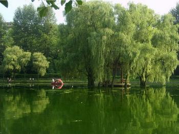 �������Y