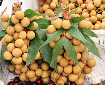 �������Y