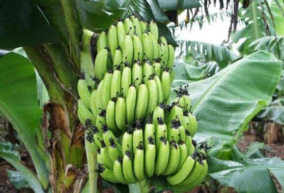 �������Y