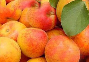 �������Y