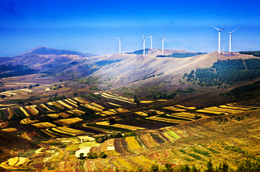 �������Y