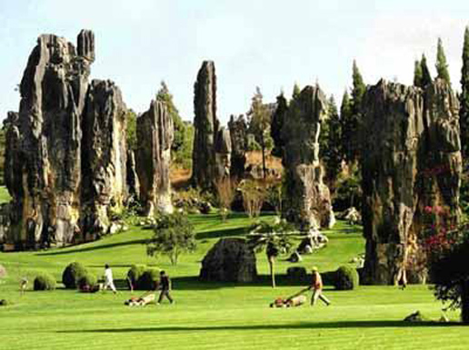 �������Y