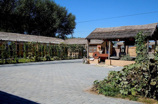 �������Y