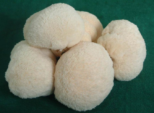 �������Y