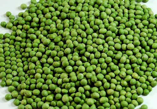 �������Y