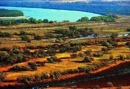 �������Y