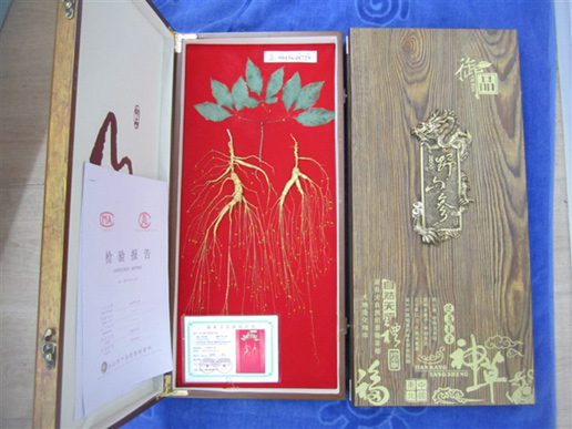 �������Y