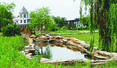 �������Y