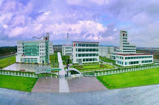 �������Y