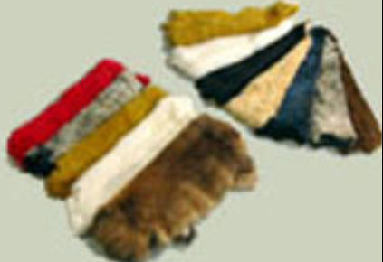 �������Y