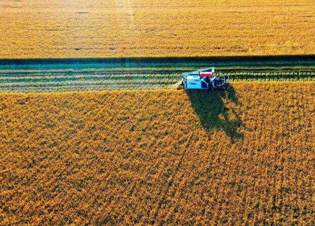 �������Y