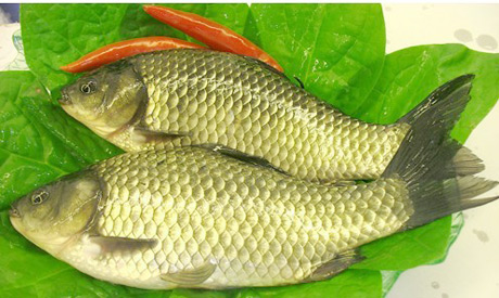 �������Y