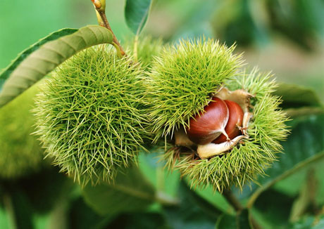 �������Y