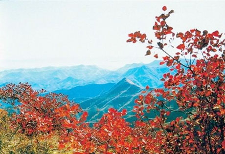 �������Y