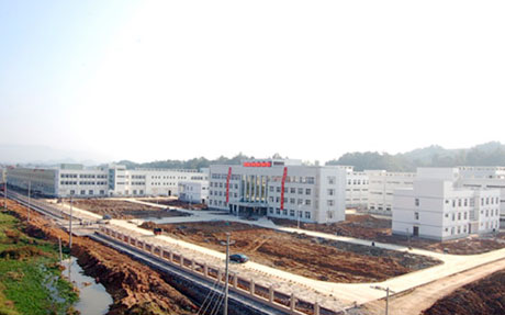 �������Y