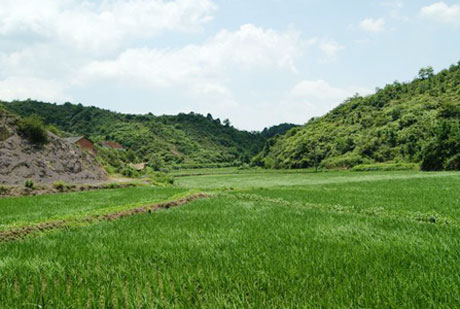 �������Y