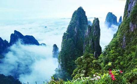 �������Y