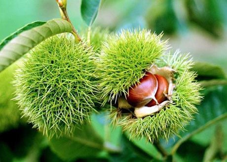 �������Y