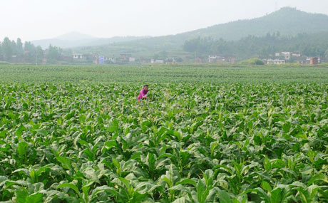 �������Y