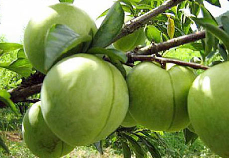 �������Y