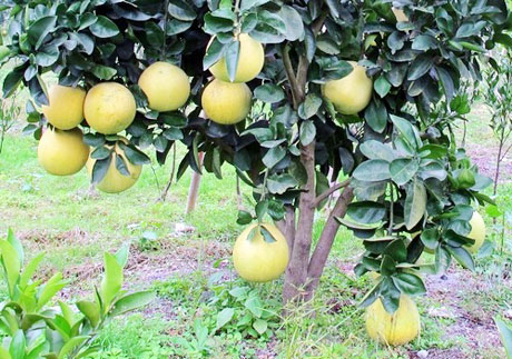 �������Y