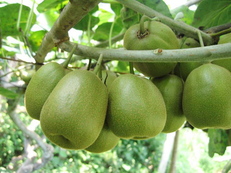 �������Y