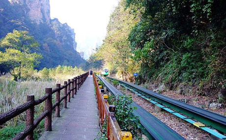 �������Y