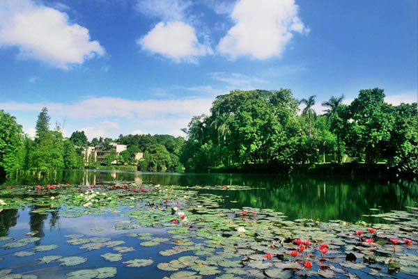 �������Y