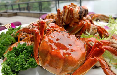 �������Y