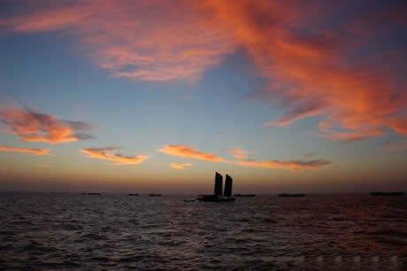 �������Y