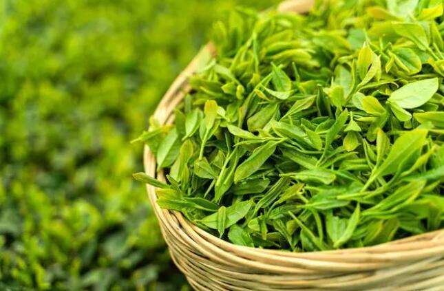 �������Y