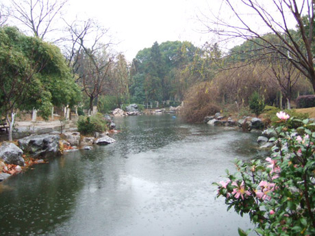 �������Y