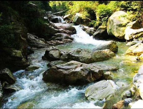 �������Y