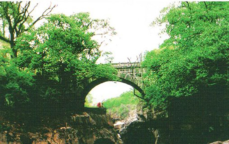 �������Y