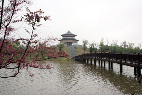 �������Y