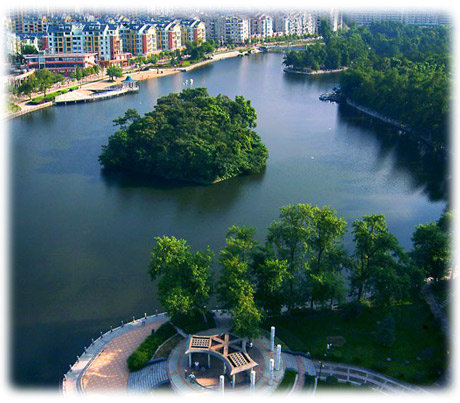 �������Y