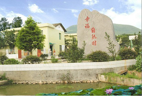 �������Y