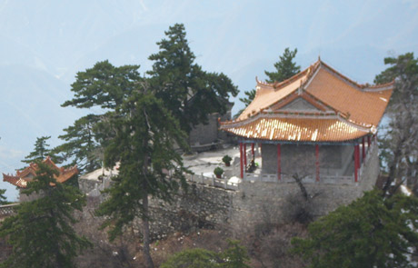 �������Y