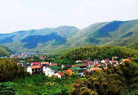 �������Y