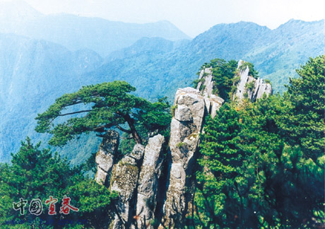 �������Y