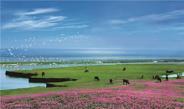 �������Y