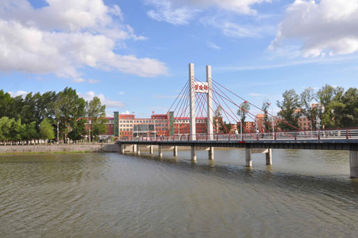 �������Y