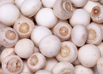 �������Y