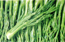 �������Y