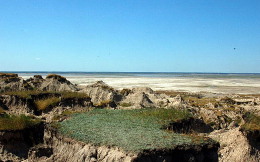 �������Y