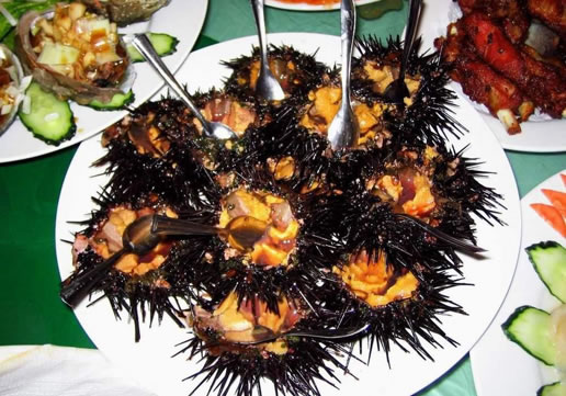 �������Y