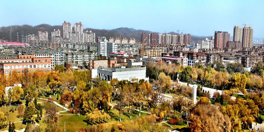 �������Y