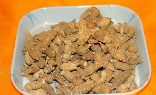 �������Y