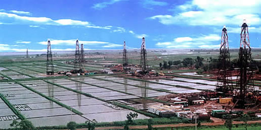 �������Y