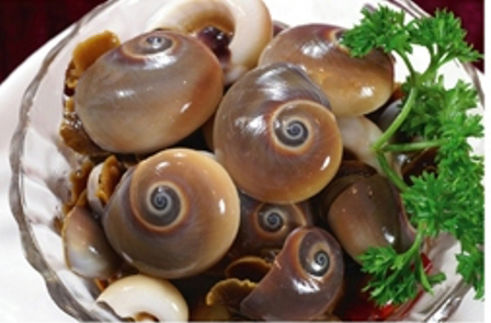 �������Y